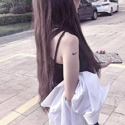 口袋英雄满级破解版下载